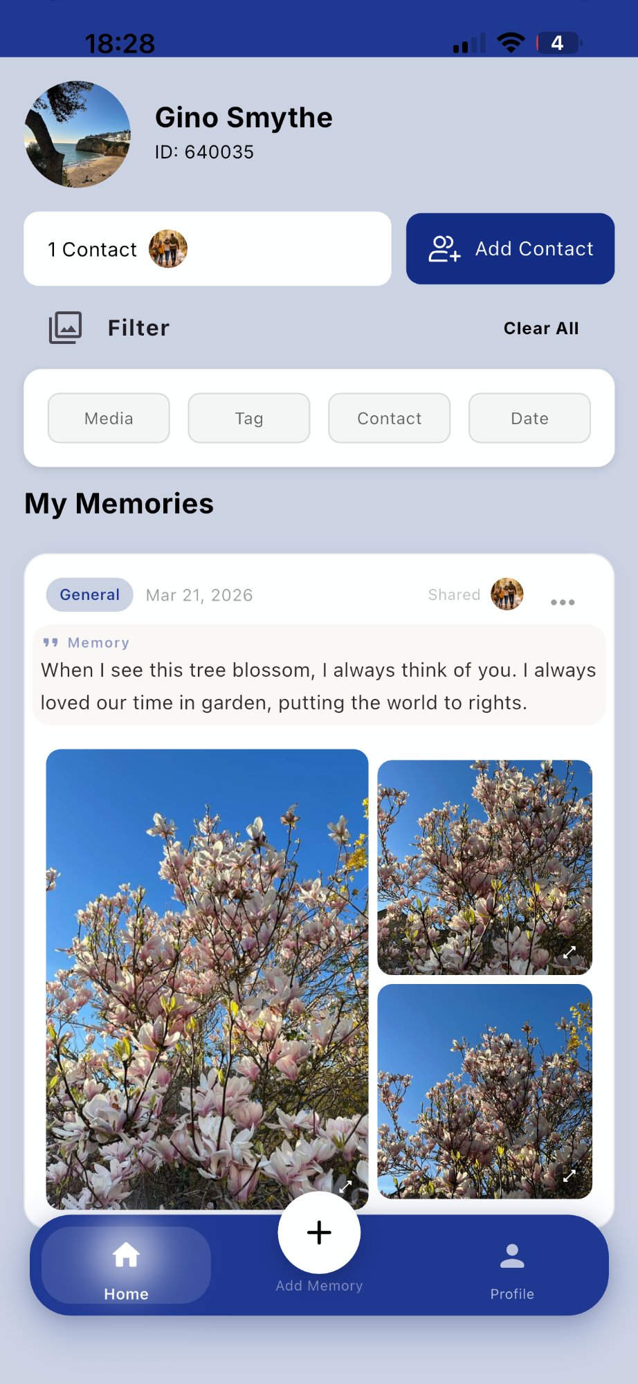 Memories feed showing a personal post about a blossom tree